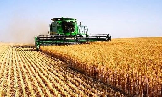 Високите цени на зърното родиха нови агромилионери